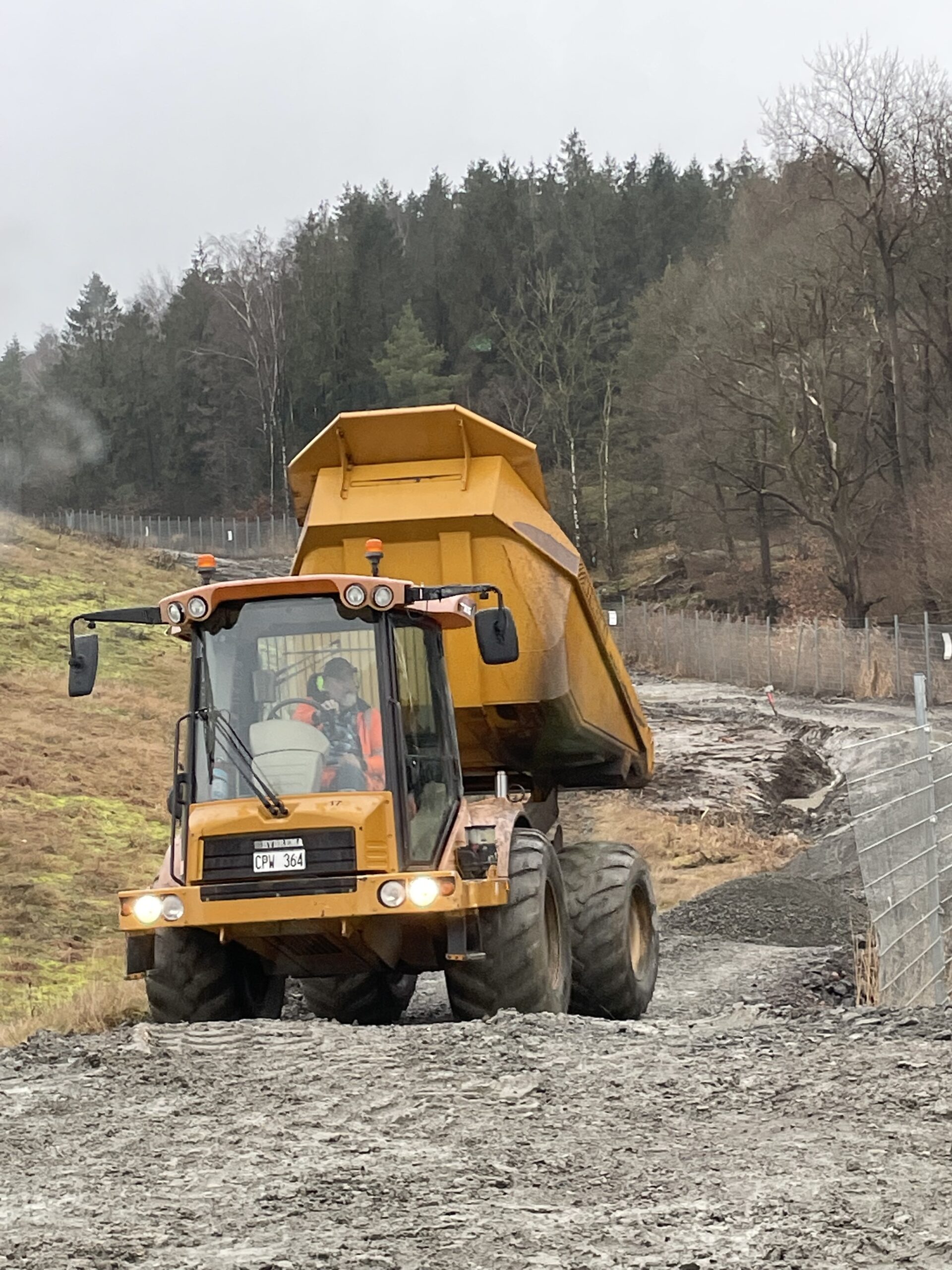 Tundo Schack - Hjuldumper